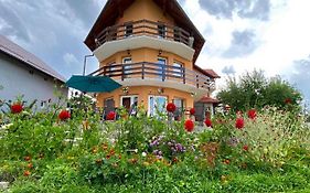 Tamara House